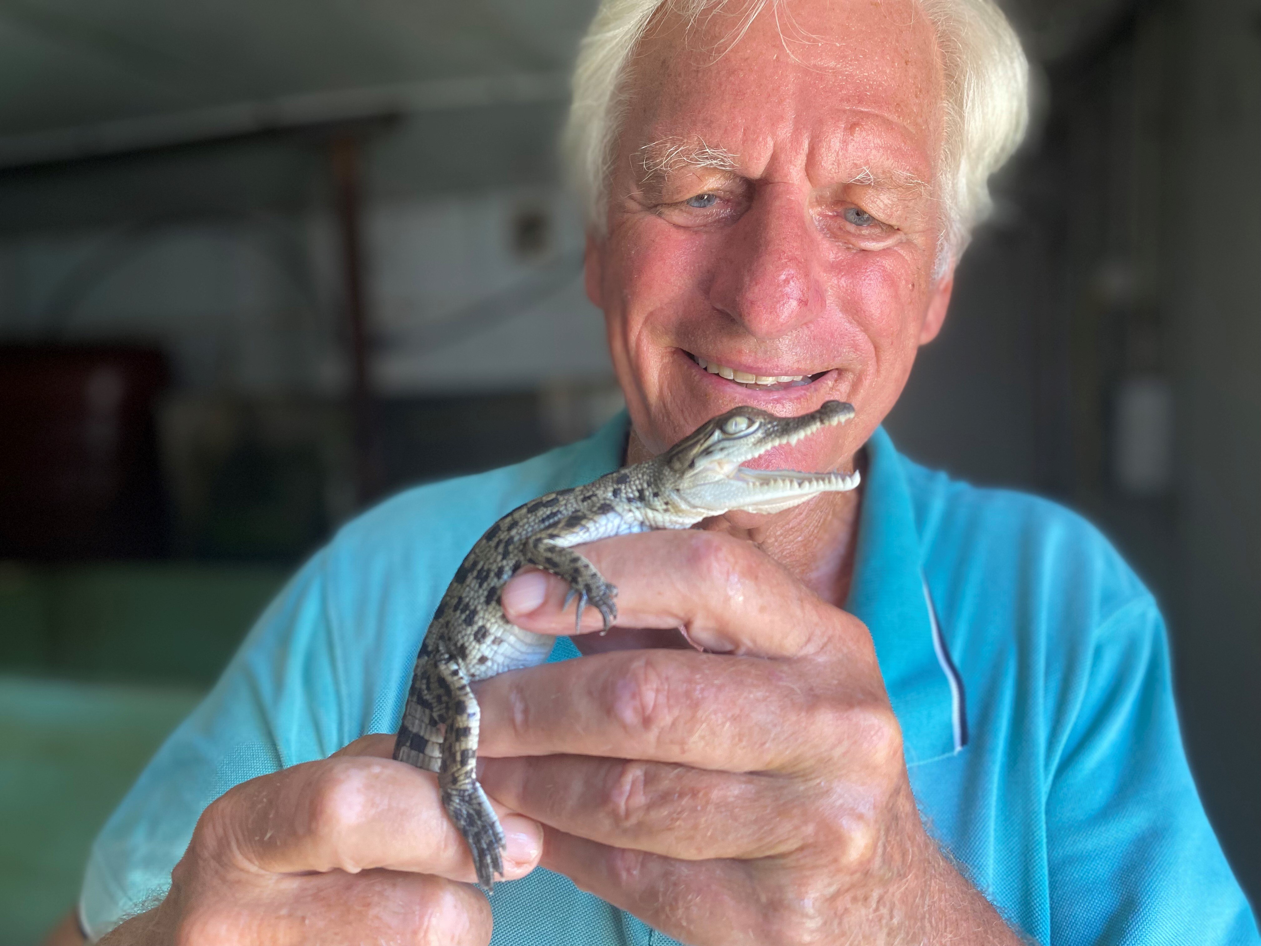 Crocodile farmer John Lever holding a baby crocodile in his hand.
