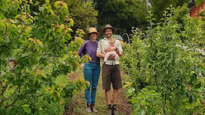 A family of three including a baby stand among fruit trees planted in clay soil at their south Hobart home.