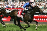 Makybe Diva remains the only horse to win three Melbourne Cups