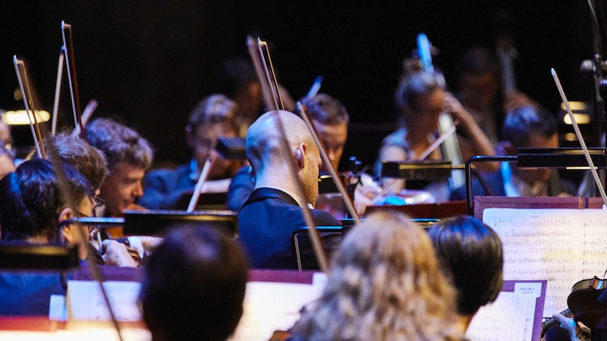 Adelaide Symphony Orchestra Strings.