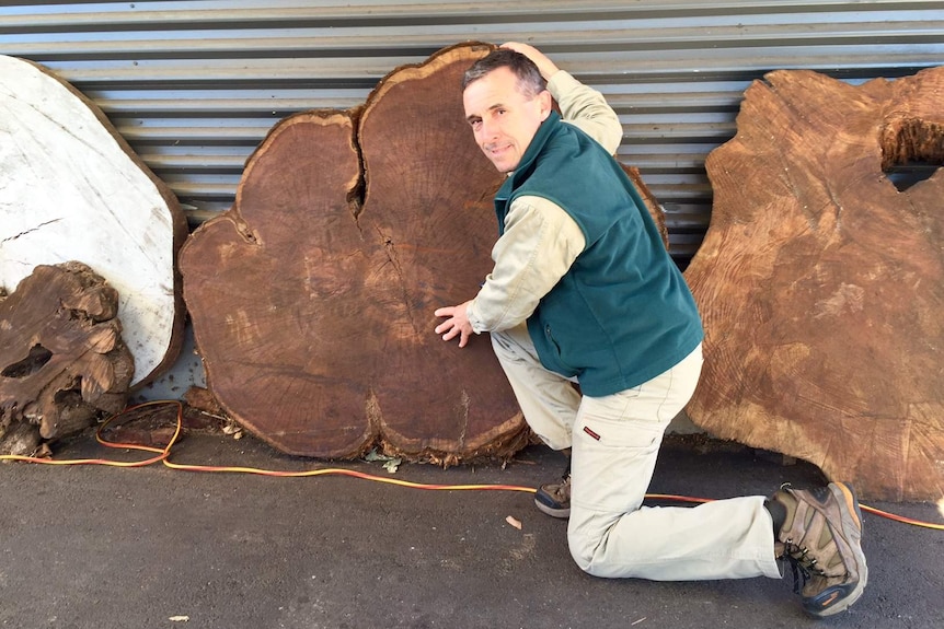 David Bidwell kneeling next to large cross-sections of tree trunks.