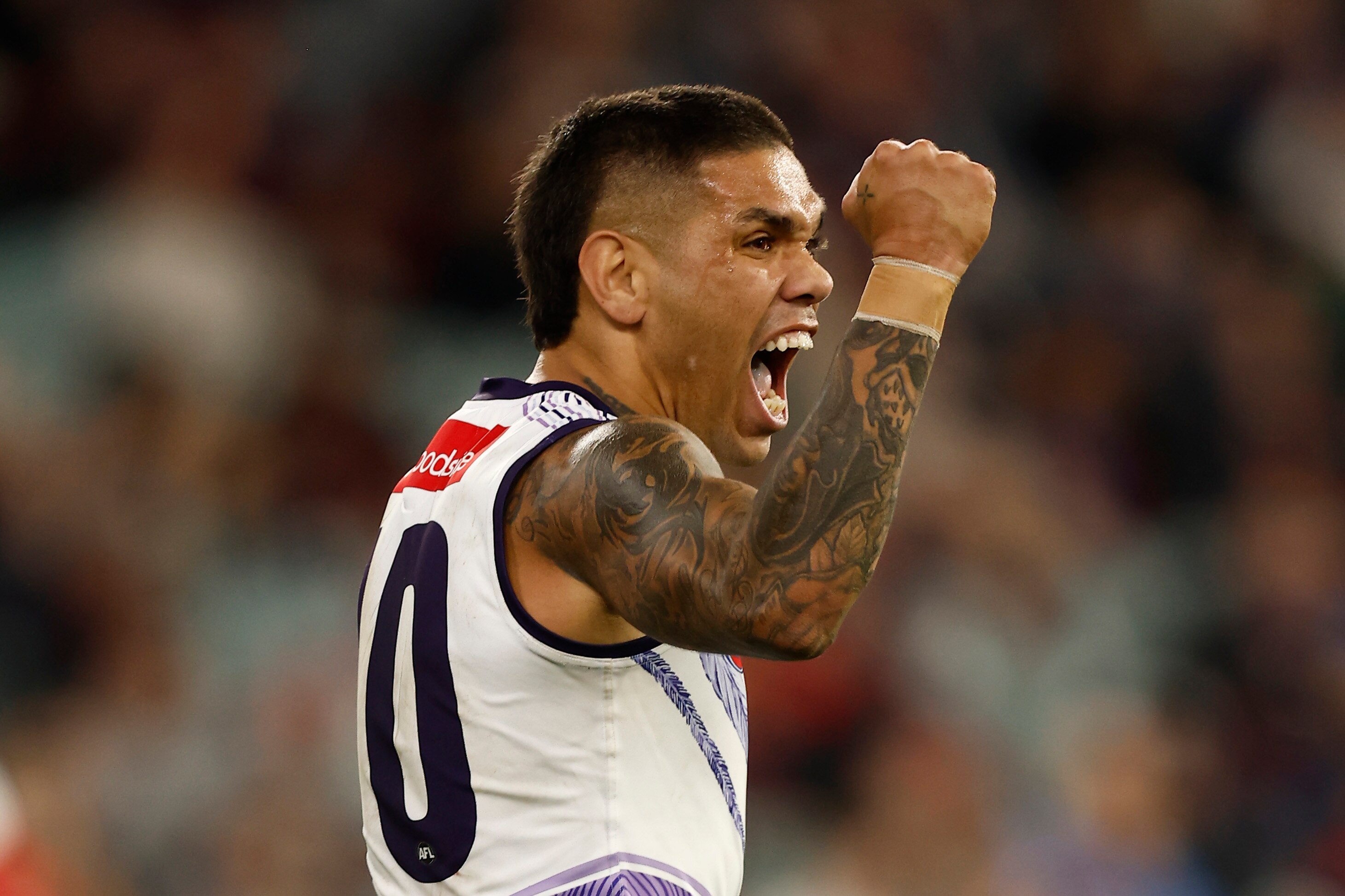 Fremantle Ends Melbourne's Unbeaten AFL Run As Western Bulldogs, Gold ...