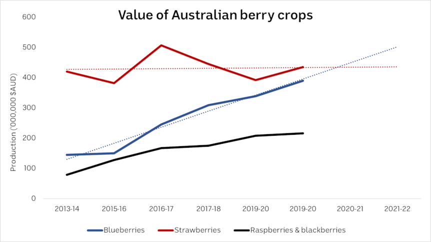 a chart showing how blueberries crop value has risen to almost match strawberries.