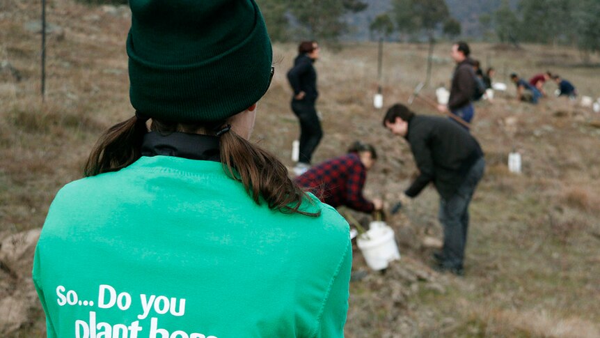 Lady's back in the foreground of the picture. The back of her green shift says 'so ... do you plant here often?'