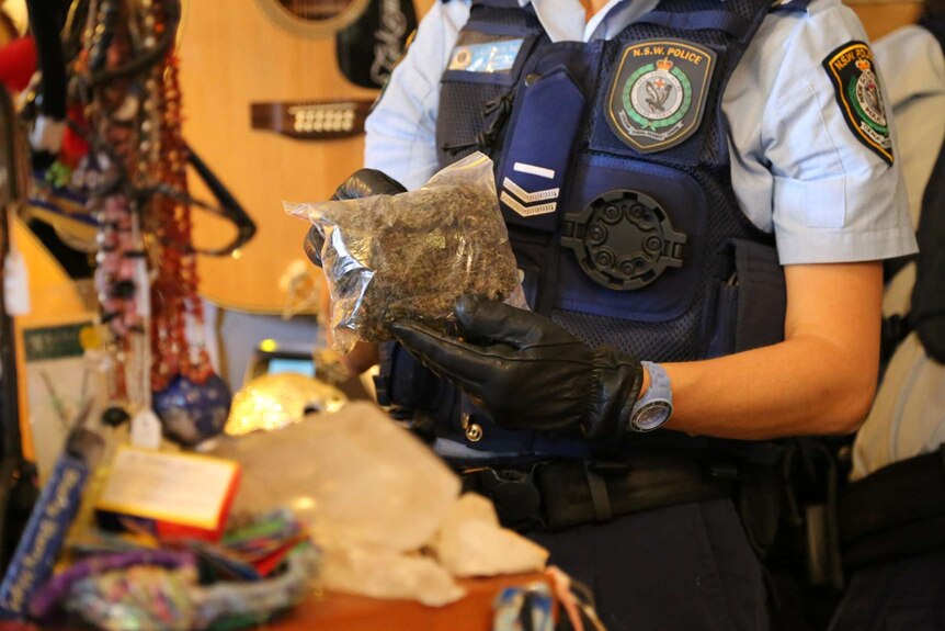 Police hold cannabis found at Nimbin