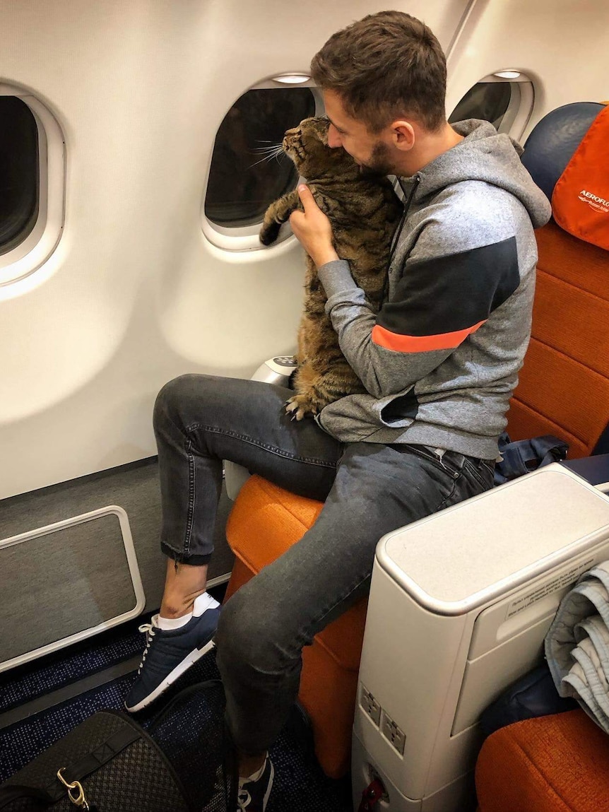 A man sitting in an aeroplane seat holding a cat who is looking out of the window