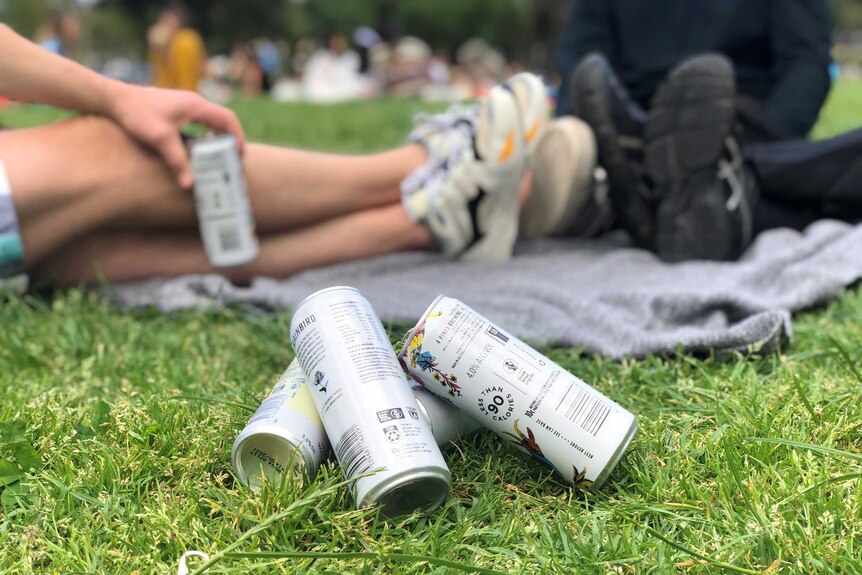 Cans of hard seltzer at a picnic