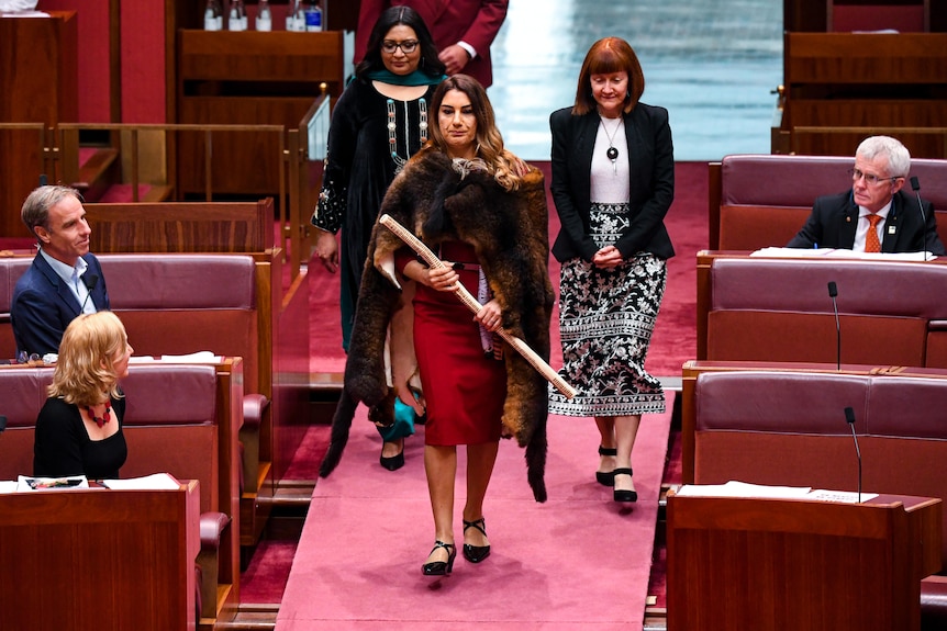 Lidia Thorpe arrives in the Senate chamber wearing a possum skin cloak.