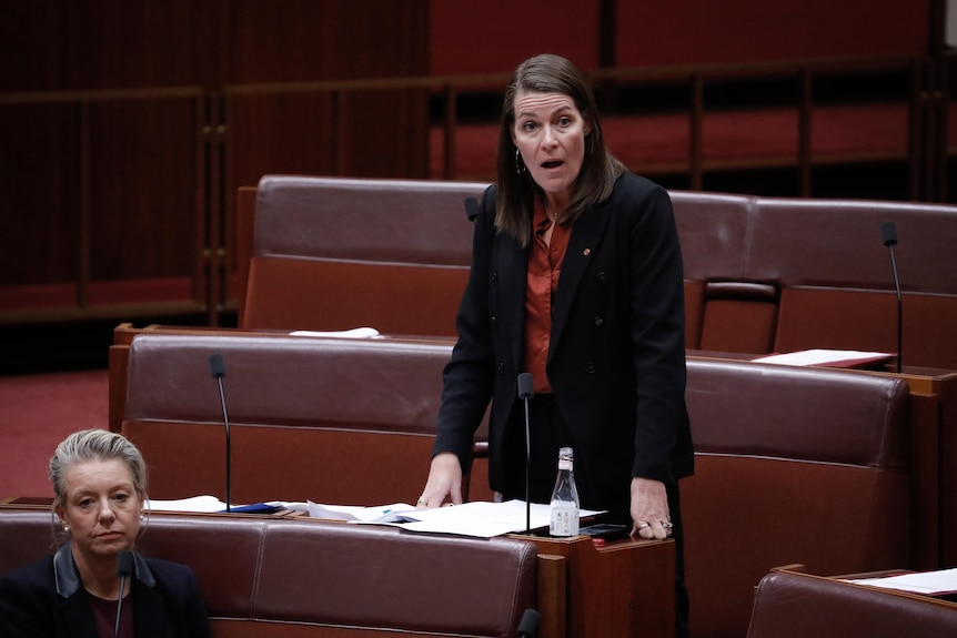 Davey wearing a dark suit is standing in the senate speaking.