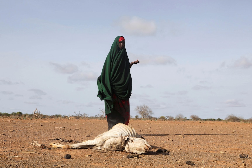 A woman stands on parched earth behind a dead animal