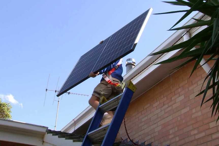 A man holding a solar panel on a ladder next to a roof