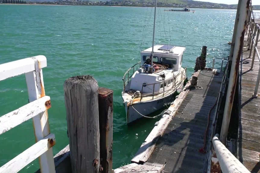 A boat tied to a wharf surrounded by green water