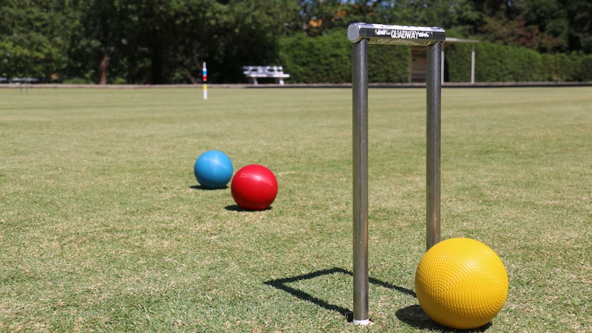 A croquet hoop and three balls on a green.