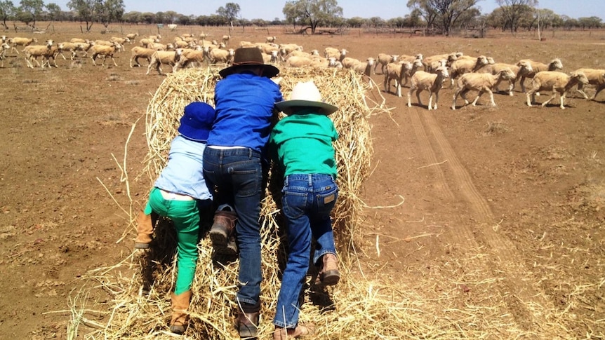 Children on a western Queensland property rolling out hay donated by Rotary.