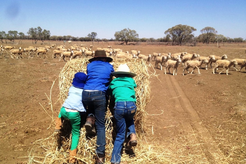 Children on a western Queensland property rolling out hay donated by Rotary.