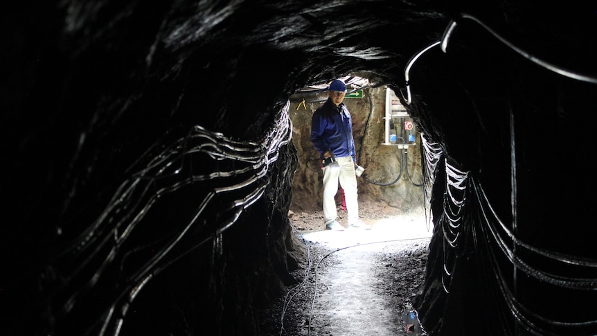 Seismologist Rudolf Widmer-Schnidrig walking through the narrow tunnels of the underground Black Forest Observatory