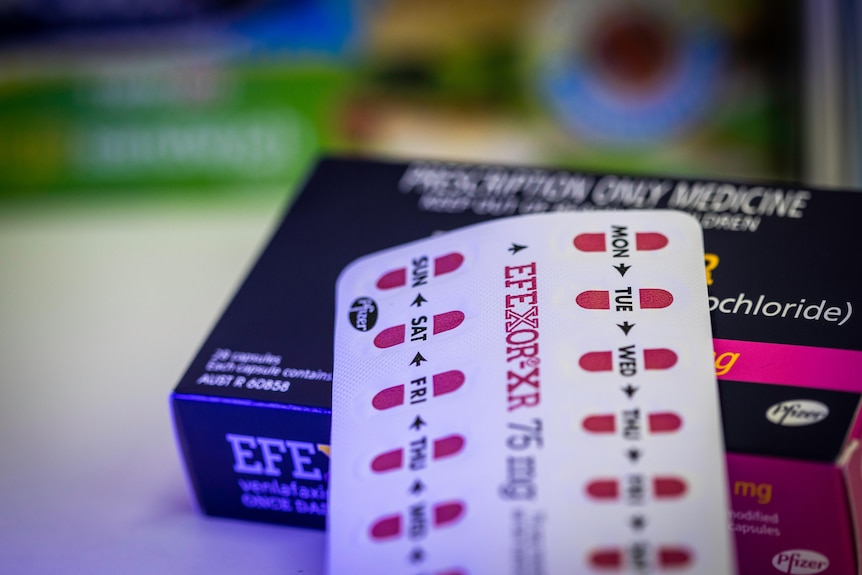 A blister pack labelled with two weeks of daily pills lies on top of the box it came in