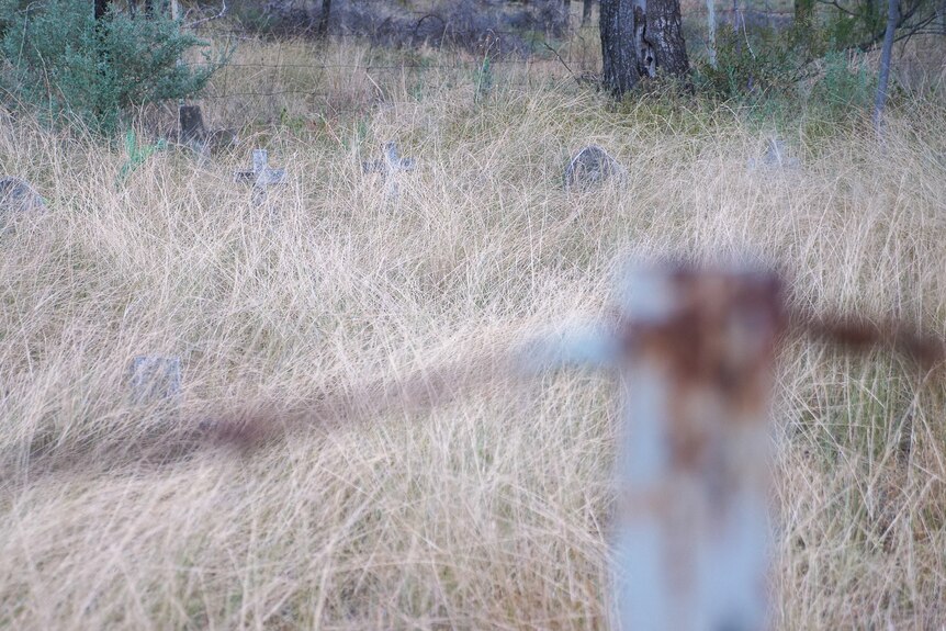 The Old Toomelah cemetery, New South Wales, March 2024.