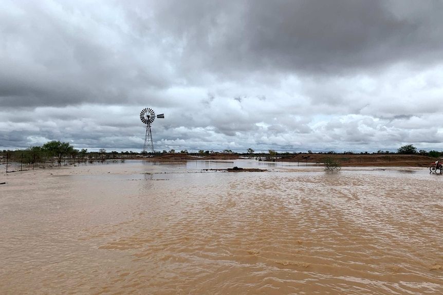 A flooded paddock with water stretching into the distance. There are grey clouds in the sky.