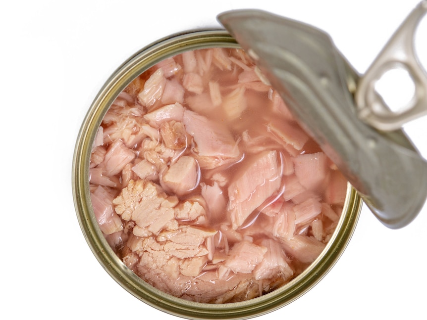 A can of tuna with the lid peeled back on a white background
