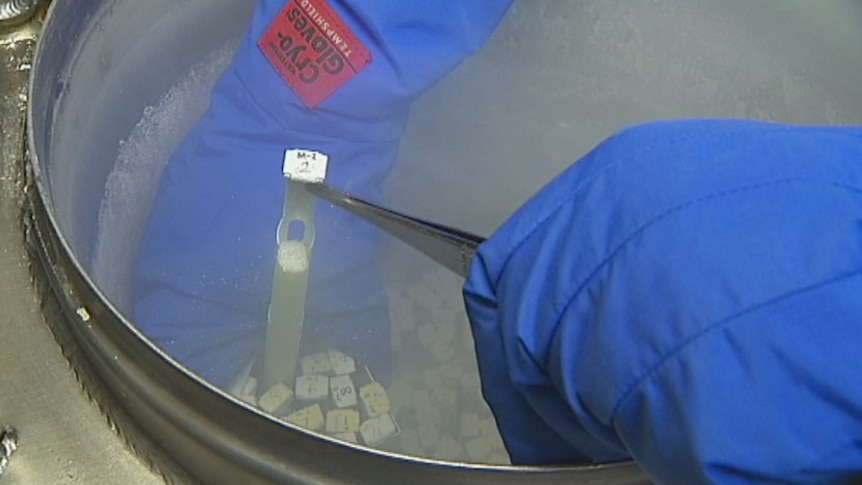 Blue gloves reach into a drum containing frozen eggs for fertility treatments.