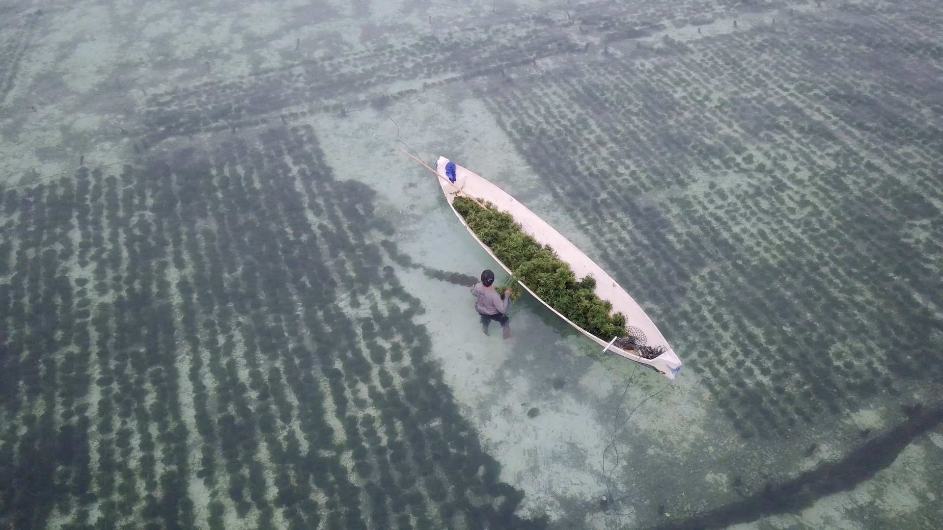 Play Video. Duration: 19 seconds