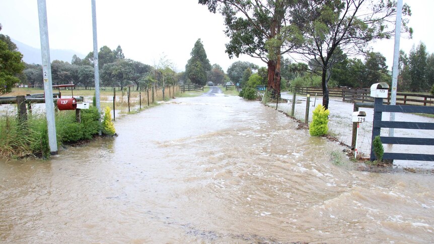 The road separating the entrances of two rural properties is flooded