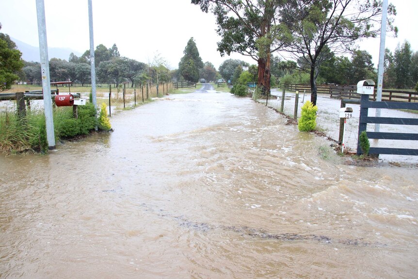 The road separating the entrances of two rural properties is flooded