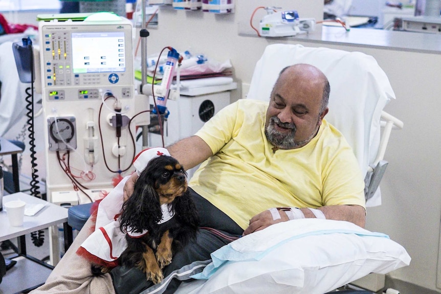 Harry Issidoran with a therapy dog at Blacktown Hospital