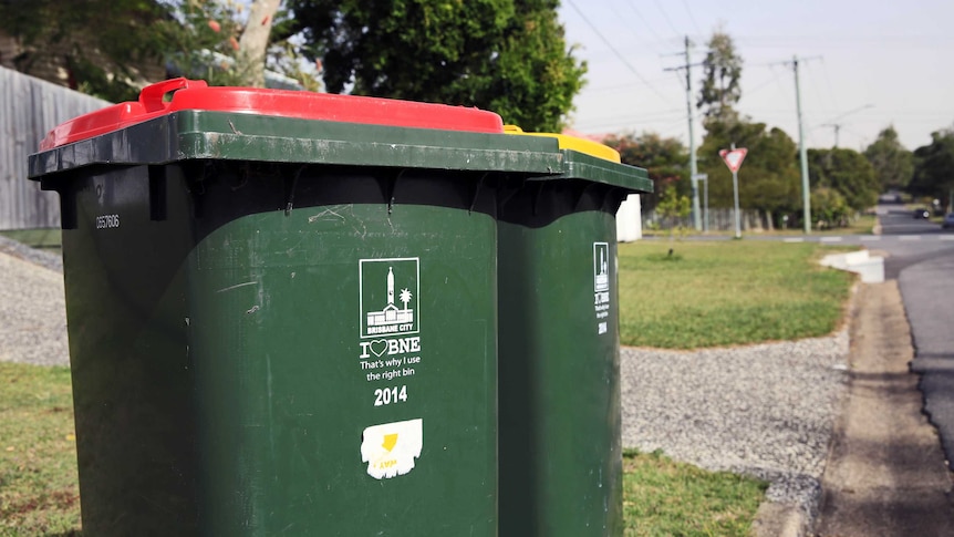 A waste bin and a recycling bin sit on the kerbside of a leafy suburb.