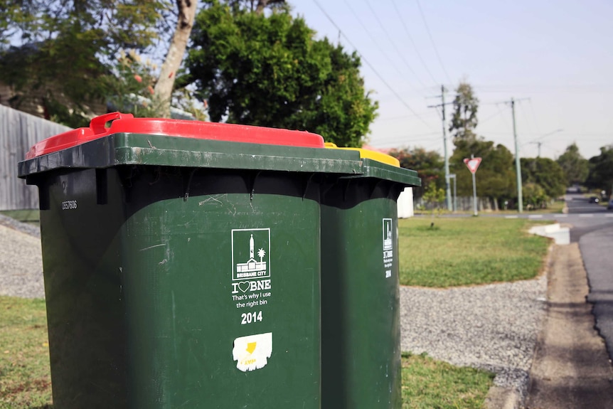 A waste bin and a recycling bin sit on the kerbside of a leafy suburb.