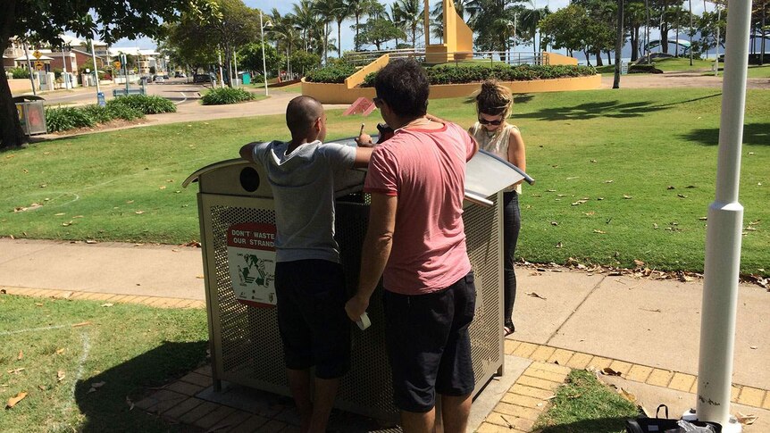 Researchers collecting samples in Townsville's Strand Park