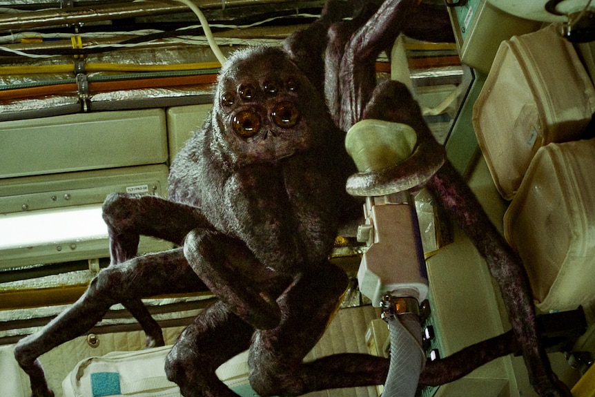 A film still showing a giant spider crawling over seats in a spacecraft