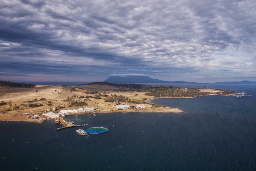 Tassal's Okehampton Bay operations on Tasmania's east coast.