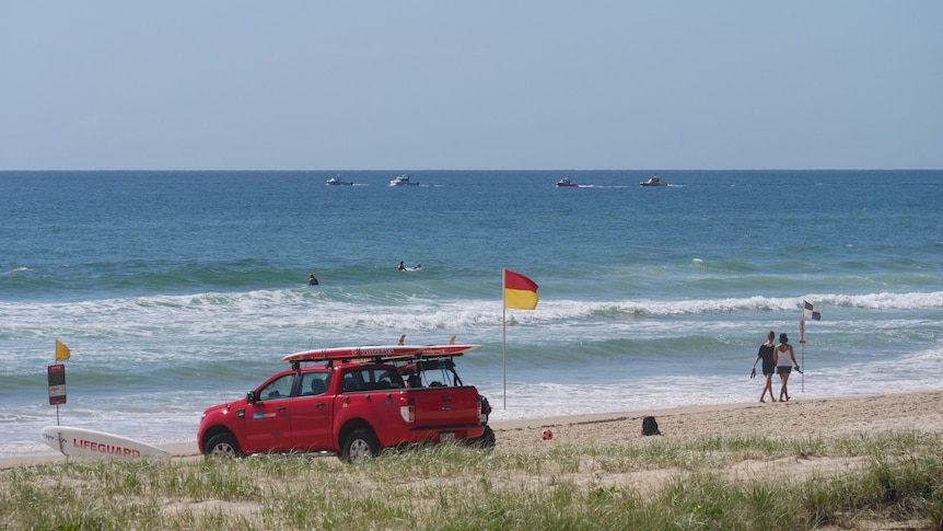 A group of boats searching sea behind red and yellow flags and car on beach