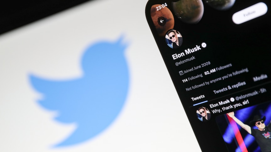 The Twitter logo next to Elon Musk's account on a mobile screen