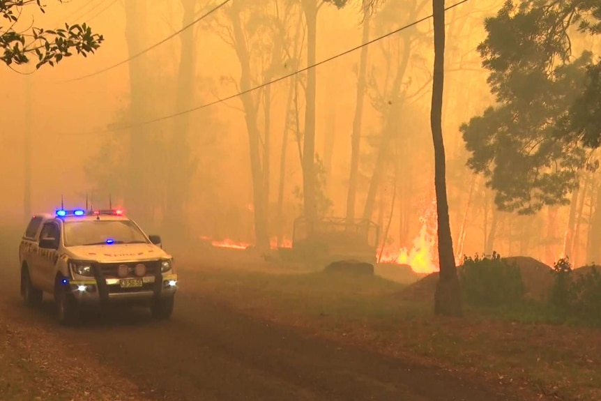 The RFS battling through burning bushland at Mt Wilson.