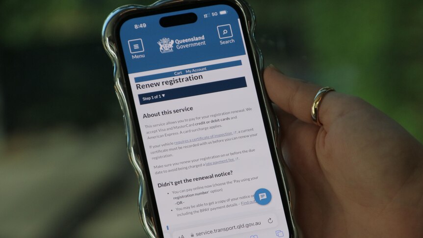 A person holds a phone looking at the TMR rego renewal website.