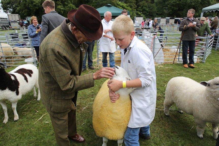 A sheep is being held by a boy as a man examines its teeth.