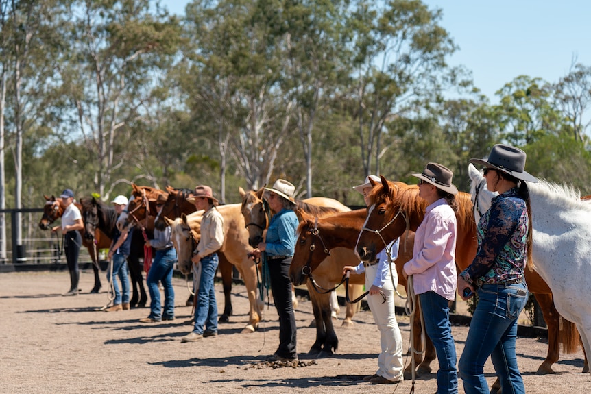 Horses and their people line up for the judges in an arena.