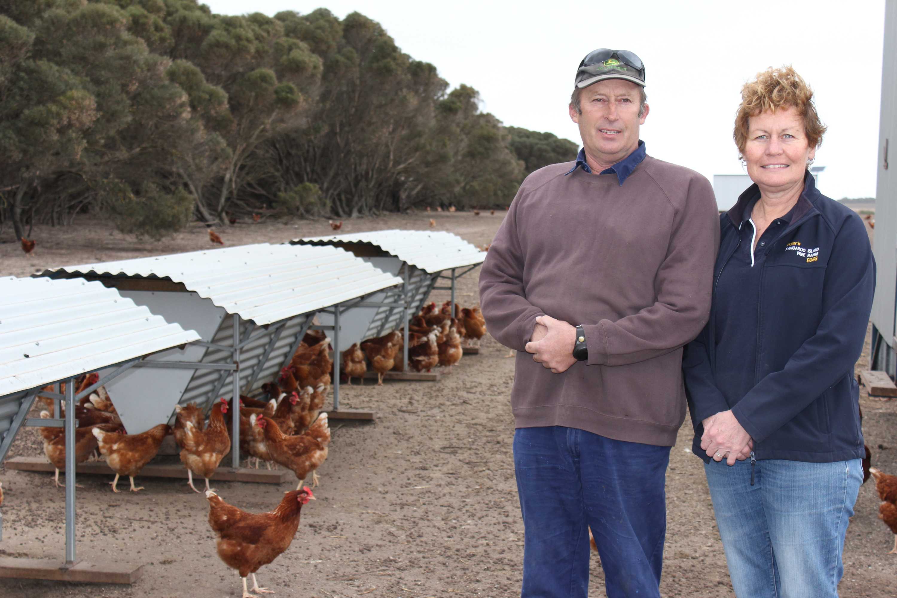Kangaroo Island egg producers want free range standards set at under