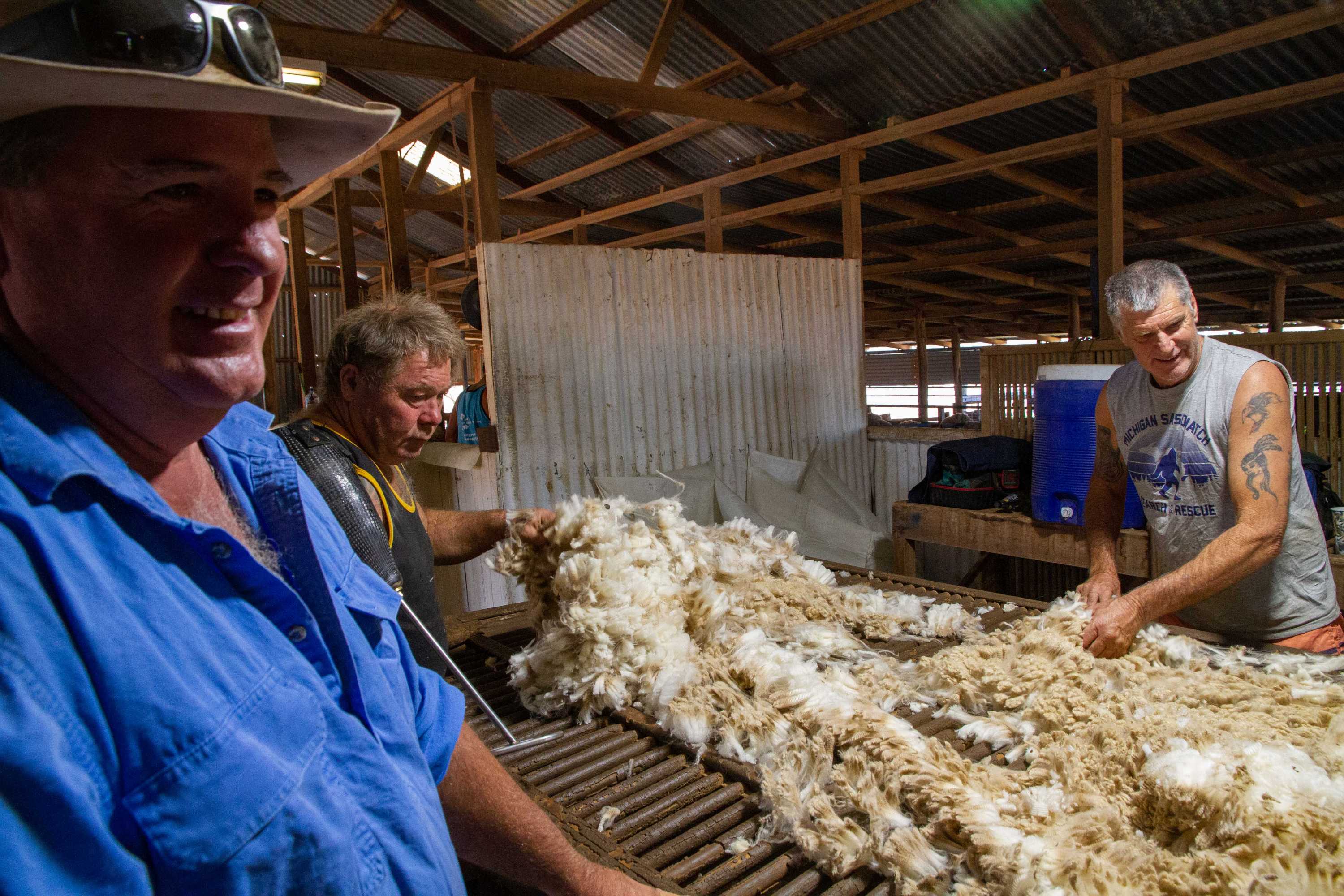 Wool scour's resurrection could save the industry, from fibre to fabric