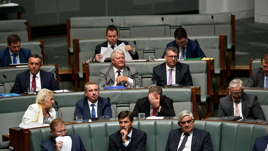 A full Question Time audience looks at Barnaby Joyce, who has his head in his hands.