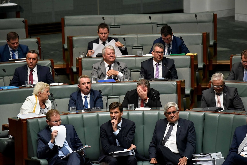 A full Question Time audience looks at Barnaby Joyce, who has his head in his hands.