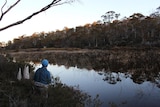 Fly fisherman on Lake Malbena in Tasmania, shot from the back against a gum forest reflected in the lake.