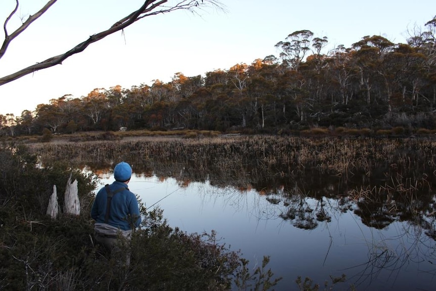 Fly fisherman on Lake Malbena in Tasmania, shot from the back against a gum forest reflected in the lake.