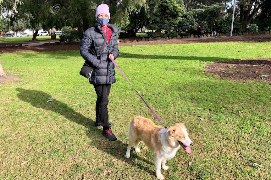 A woman in a mask walking a border collie dog.