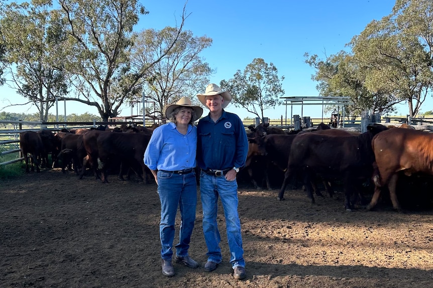 A man and a woman in jeans, work shirts and matching wide brimmed hats stand with their arms around each other in a cow yard