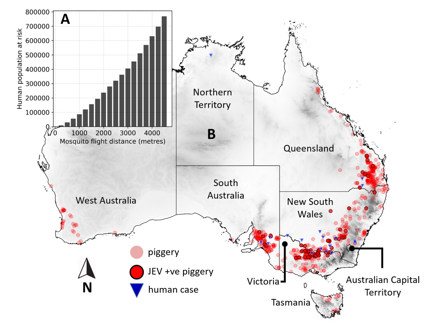 オーストラリアの地図には、ウイルスのホットスポットが赤い点で並んでいます。