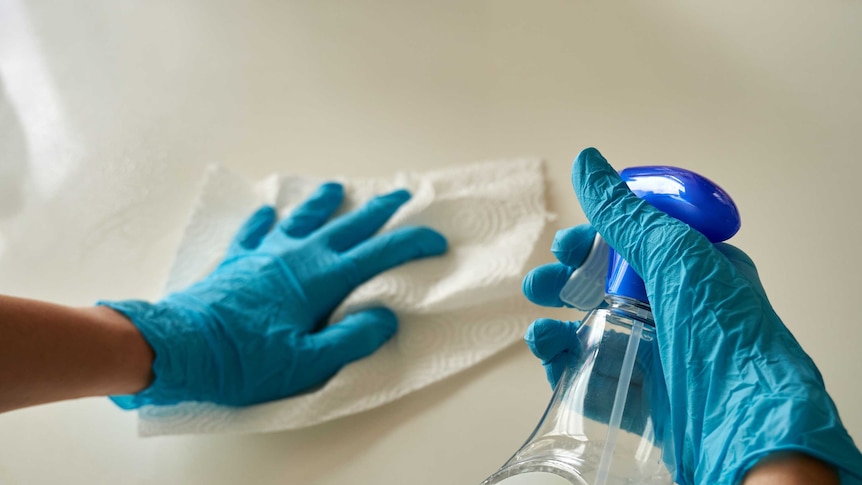 Blue gloved hands cleaning surface with paper towel holding spray bottle